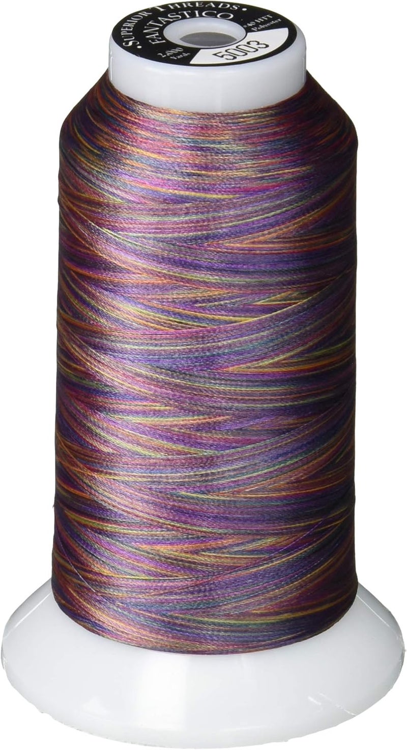 Fantastico 2-Ply 40-Weight High Strength Polyester Embroidery Quilting Sewing Thread - 2,000 Yard Cone (#5003 Magic Carpet)